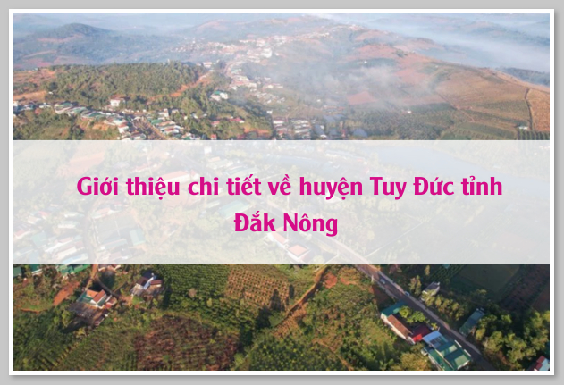 Giới thiệu chi tiết về huyện Tuy Đức tỉnh Đắk Nông 